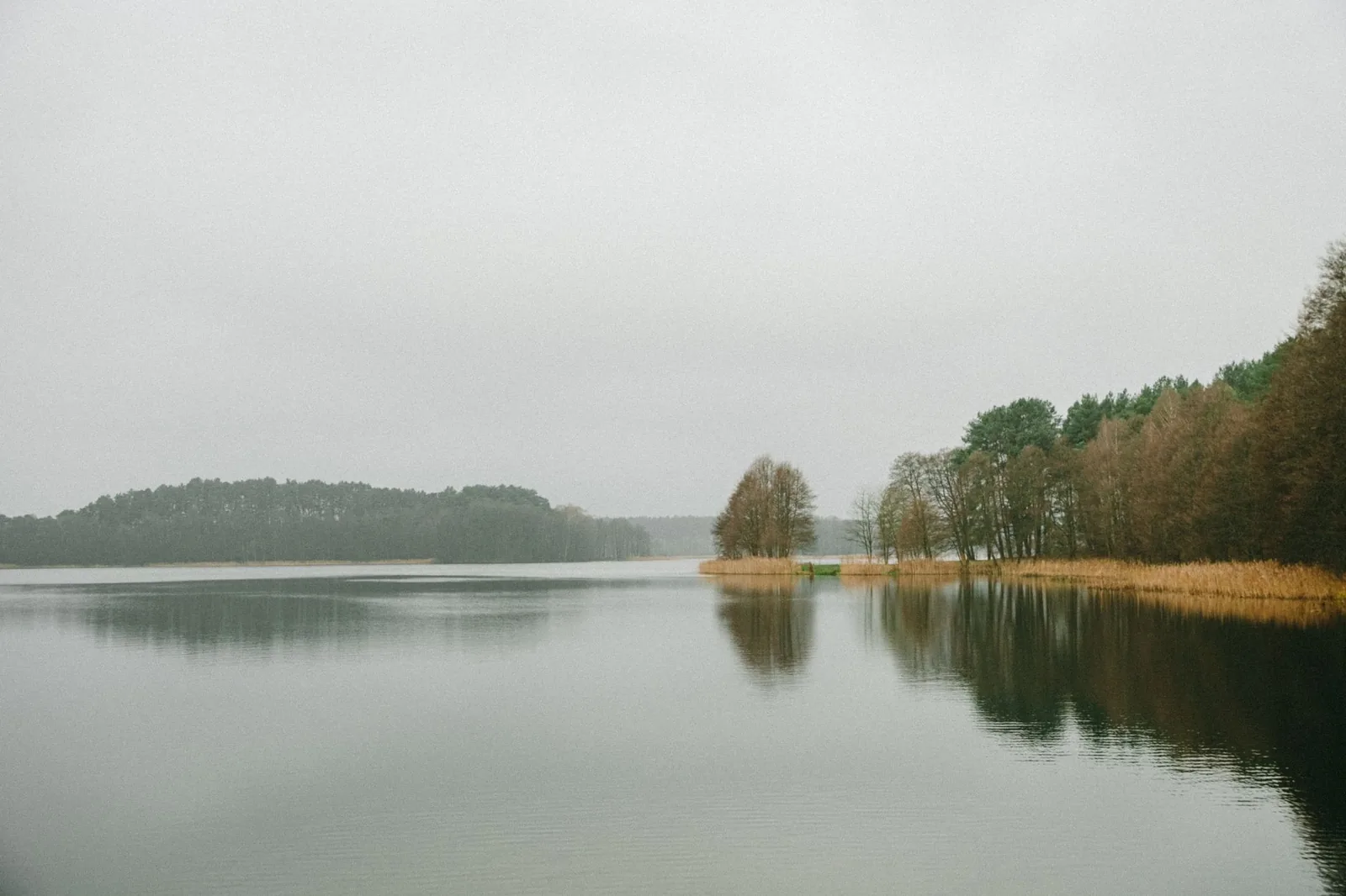 A calm Polish lake ringed by pine forest, representative of Lake Kryspinów's setting